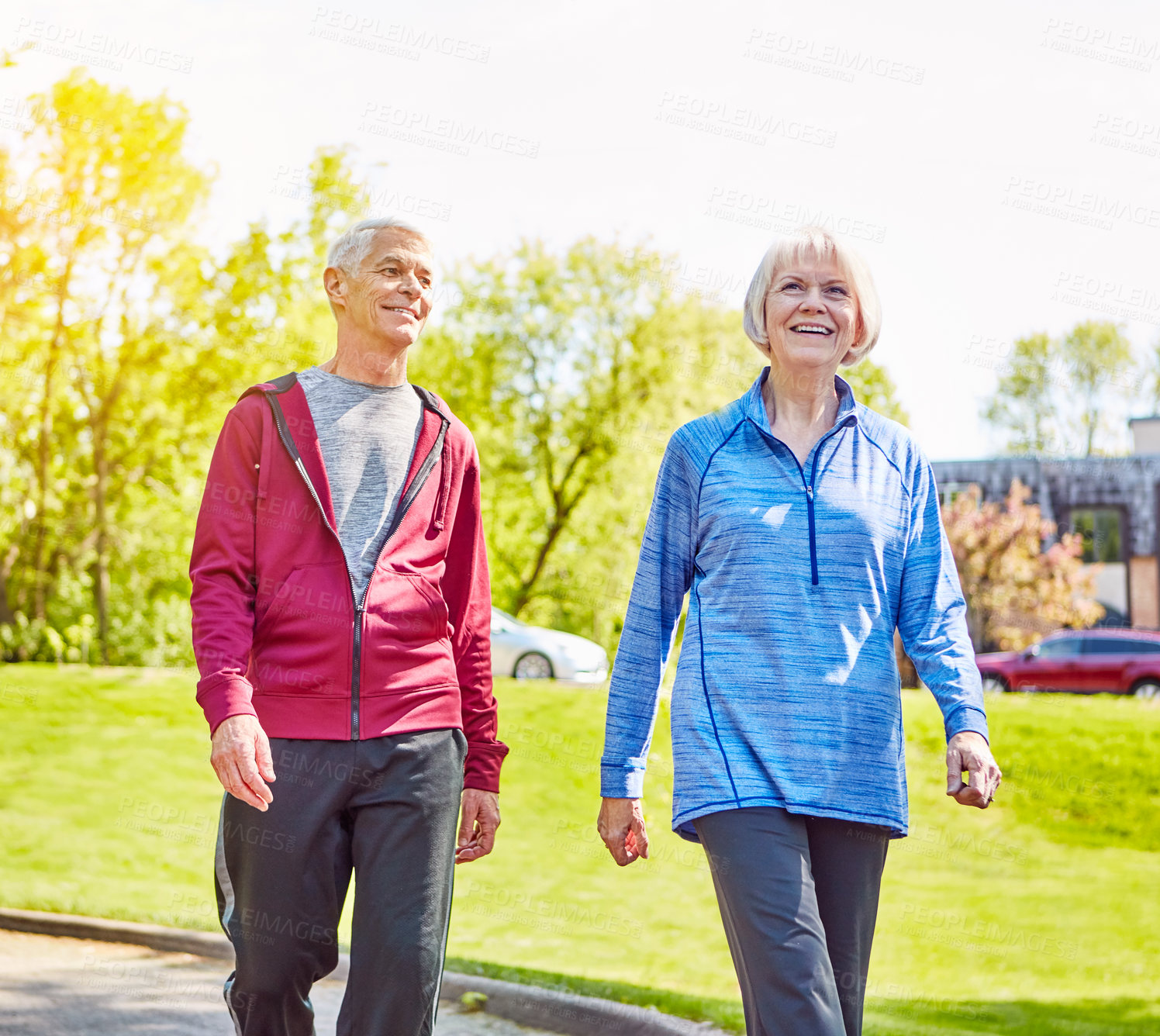 Buy stock photo Cropped shot of an affectionate senior couple taking a walk in the park during the summer