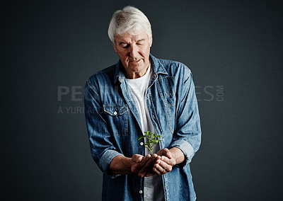 Buy stock photo Studio shot of a handsome mature man holding a budding plant against a dark background