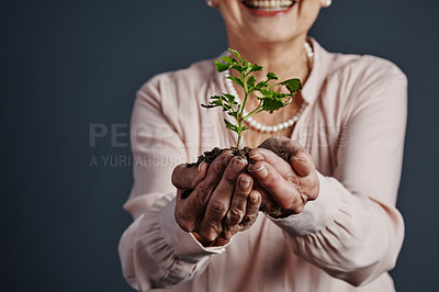 Buy stock photo Studio shot of a cheerful and unrecognizable elderly woman standing with a plant in her hands