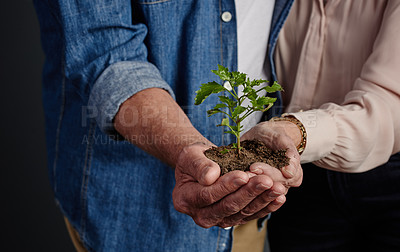 Buy stock photo Studio shot of an unrecognizable affectionate senior couple holding a budding plant against a grey background