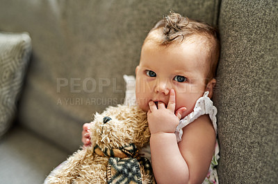 Buy stock photo Portrait, kid and baby play with teddy bear on sofa in living room to relax for childhood development. Girl, face and infant with stuffed animal or toy on couch for fun game, cute or adorable in home