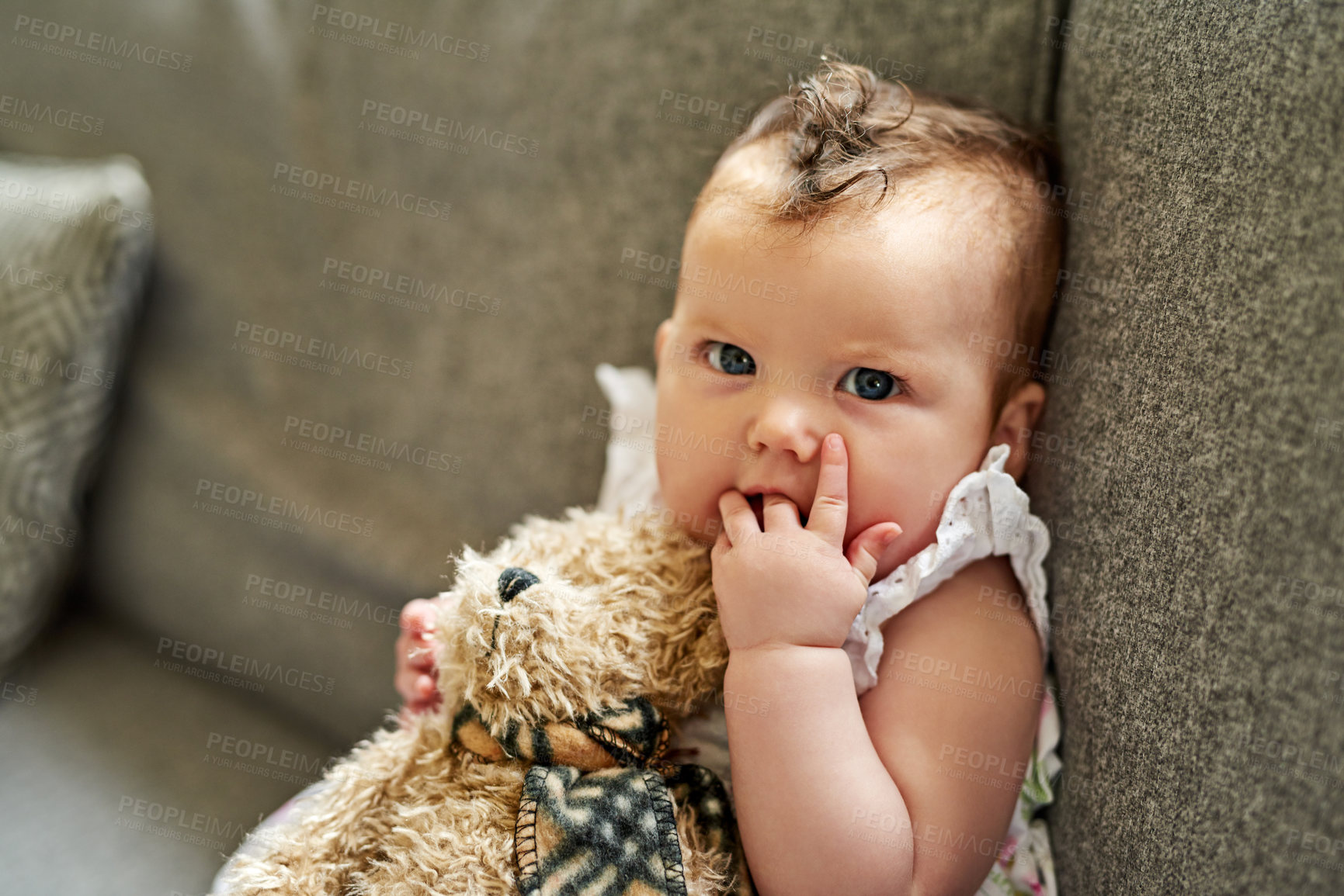 Buy stock photo Portrait, kid and baby play with teddy bear on sofa in living room to relax for childhood development. Girl, face and infant with stuffed animal or toy on couch for fun game, cute or adorable in home