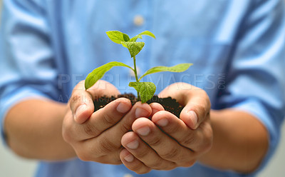 Buy stock photo Hands, person and plant or crops in studio for growth, ecology and eco friendly for environment. Agriculture, planting and sustainability with garden or farming for care, future and green energy
