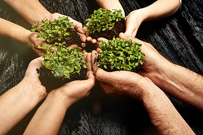 Buy stock photo Plant soil, hands and diversity with teamwork by dark surface for nature and environment future for Earth Day. Sustainability, collaboration and palm with growth for climate change and clean energy