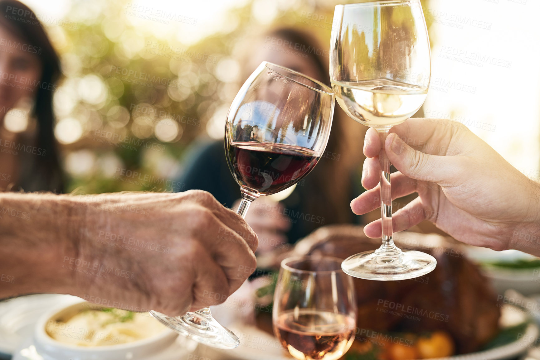 Buy stock photo Wine, nature and people with wine glass to cheers in celebration at outdoor party or event. Champagne, dinner and friends with glass of luxury, fancy and alcohol drink to toast and celebrate together
