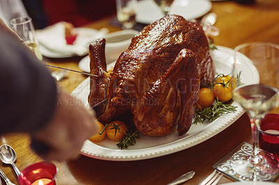 Buy stock photo Closeup shot of a person cutting into a turkey on a dining table