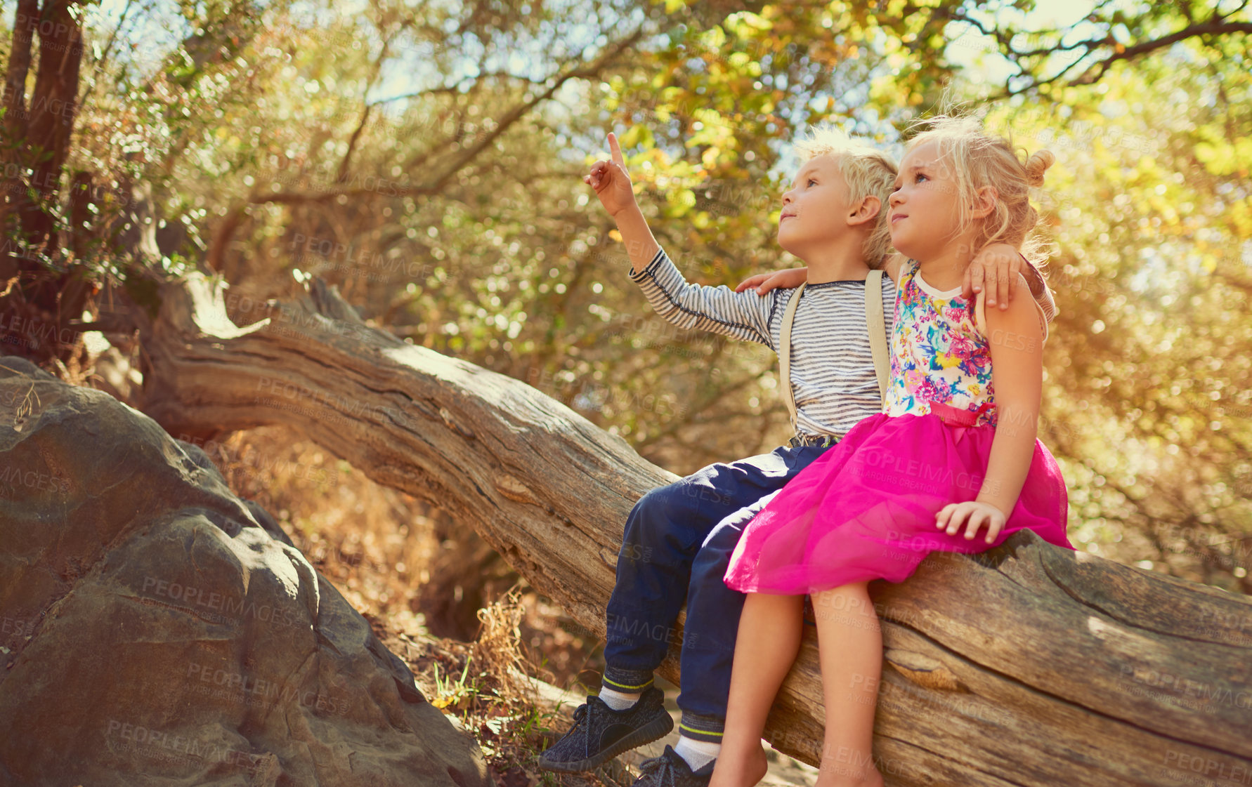 Buy stock photo Shot of two little children playing together outdoors