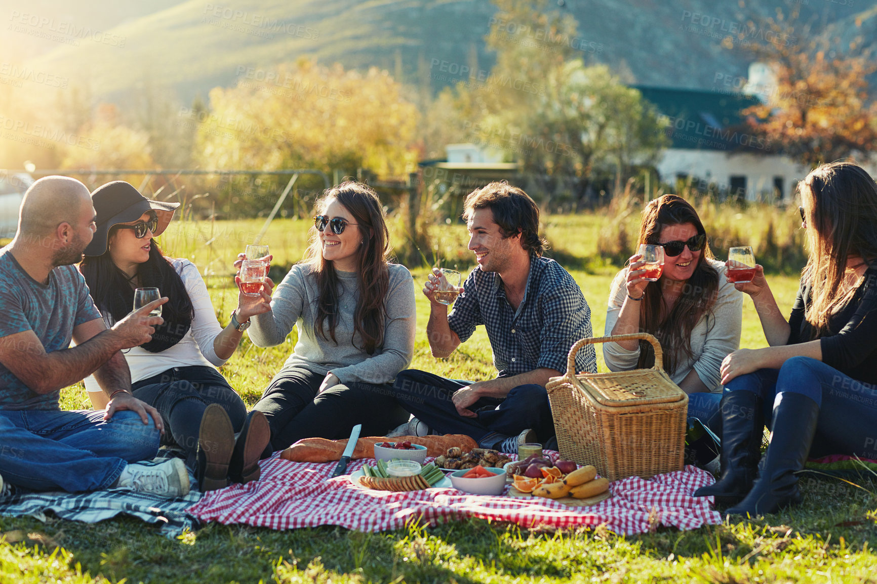Buy stock photo Shot of a group of friends having a picnic together outdoors