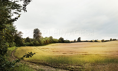 Buy stock photo Still life shot of an open field along the countryside