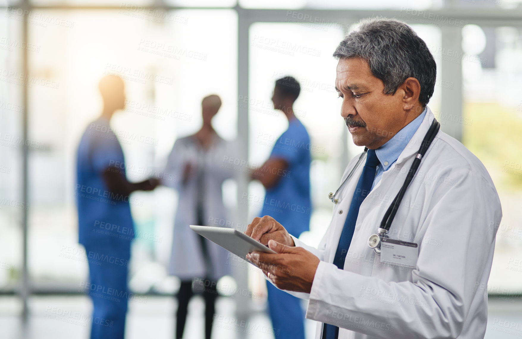 Buy stock photo Focused and mature doctor browsing on a digital tablet while working in the hospital. Using wireless technology to diagnose diseases in the health medicine field. Researching medical resources online