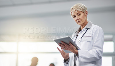 Buy stock photo Shot of a mature doctor using a digital tablet in a hospital