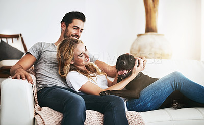 Buy stock photo Smile, relax or happy couple with a dog on house sofa bonding or hugging with trust or loyalty together. Pet, animal  lovers or woman enjoys playing with cute pitbull puppy with care on couch at home