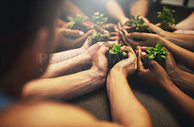 Buy stock photo People, natural and plant for growth with hands, earth day with support for environment and nature recourses. Agriculture, eco friendly and green energy for sustainability, collaboration in ecology