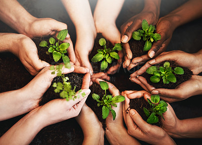 Buy stock photo Hands together, plant soil and future growth with sustainability and community work. People above, green leaf and environment project for gardening, farming and sustainable eco dirt for agriculture