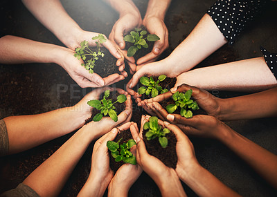 Buy stock photo Hands together, plant soil and diversity above with sustainability and community work. People, green leaf and environment project for gardening, farming and sustainable eco dirt for agriculture