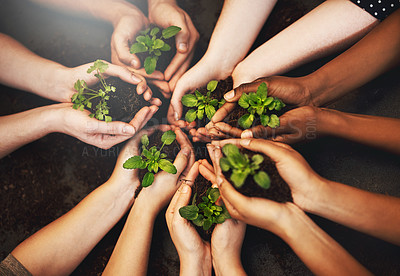 Buy stock photo Hands together, soil and plant growth with green sustainability and community work. People above, leaf and environment project for gardening, farming and sustainable eco dirt for agriculture