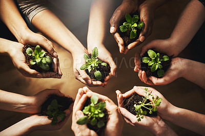 Buy stock photo People, nature and plant or grow with hands, earth day with support for environment and natural recourses. Agriculture, eco friendly and green energy for sustainability, collaboration in ecology