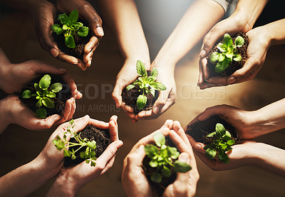 Buy stock photo People, nature and plant for growth with hands, earth day with support for environment and natural recourses. Agriculture, eco friendly and green energy for sustainability, collaboration in above