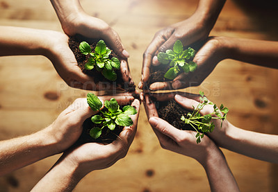 Buy stock photo Person, nature and plant for ecology with hands, earth day with support for environment and natural recourses. Agriculture, eco friendly and green energy for sustainability, collaboration and growth