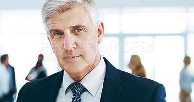 Buy stock photo Cropped portrait of a handsome mature businessman standing in the office with his colleagues in the background
