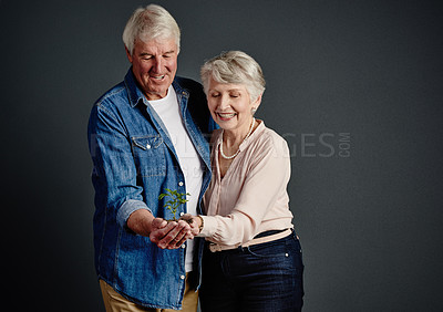 Buy stock photo Studio shot of an affectionate senior couple holding a budding plant against a grey background