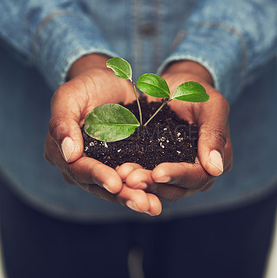 Buy stock photo Closeup, man and hands with plant with eco friendly for the environment and sustainability with recycling. Entrepreneur, male person and hand with fertilizer for green energy and growing at a farm.