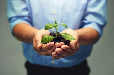 Buy stock photo Hands, person and plants in studio for growth, ecology and eco friendly for environment. Agriculture, planting and sustainability with garden or farming for new business and future as entrepreneur.