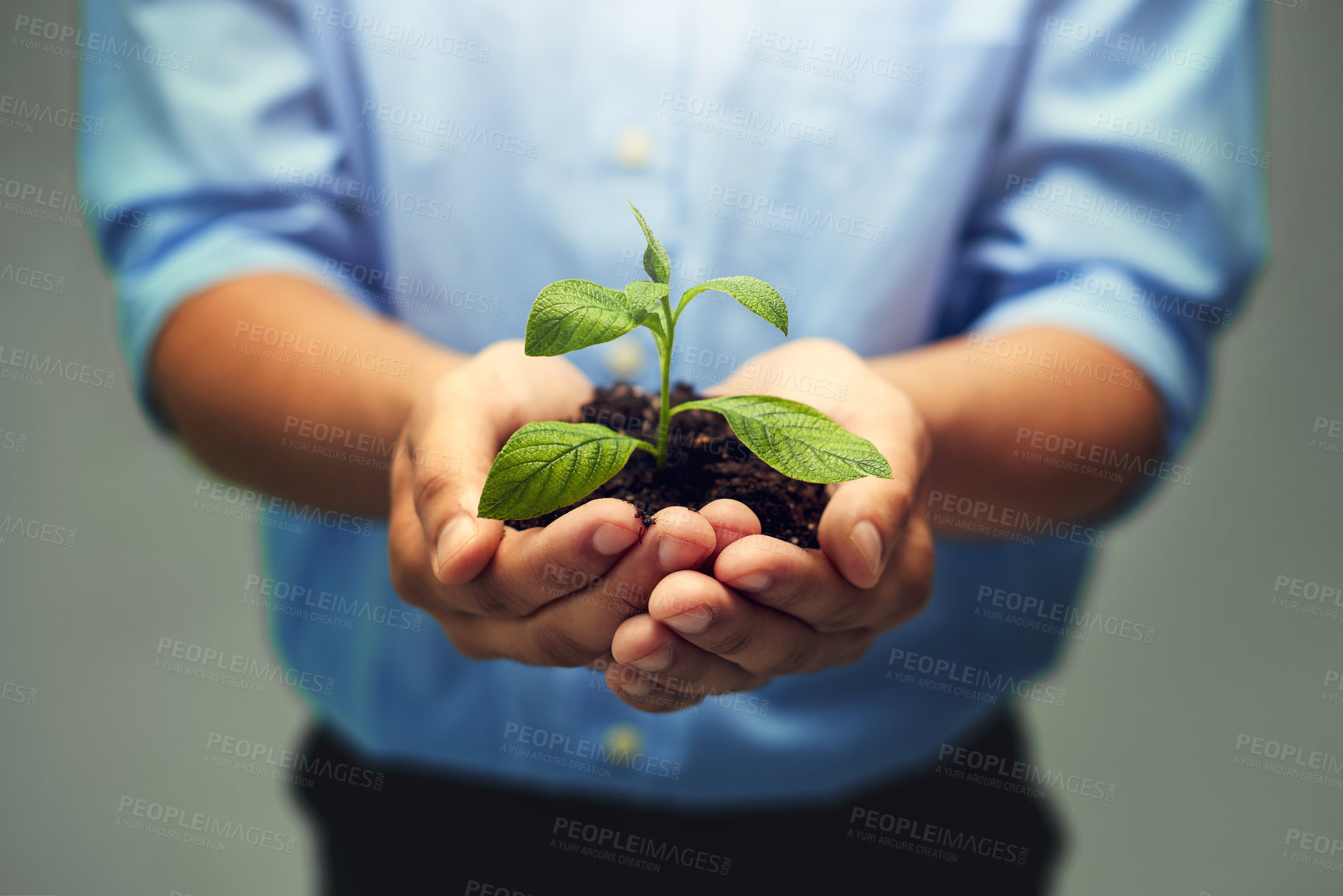 Buy stock photo Hands, person and plants in studio for growth, ecology and eco friendly for environment. Agriculture, planting and sustainability with garden or farming for new business and future as entrepreneur.
