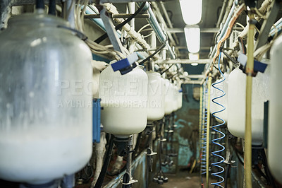 Buy stock photo Industry, dairy and milk production factory with equipment on an industrial farm warehouse. Agriculture, sustainable and liquid process with machinery and pipes on a eco friendly field in countryside