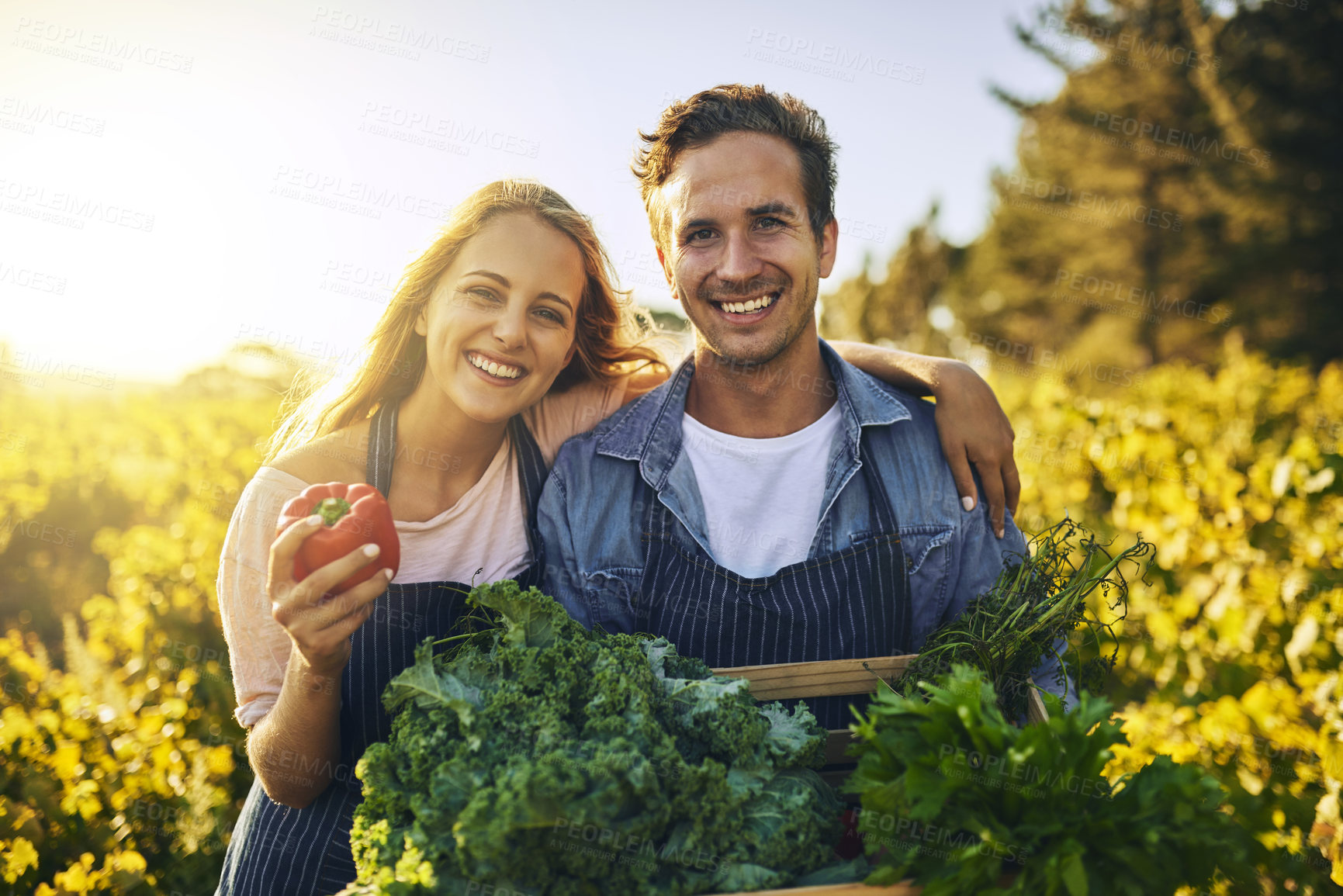 Buy stock photo Shot of a young man and woman working together on a farm