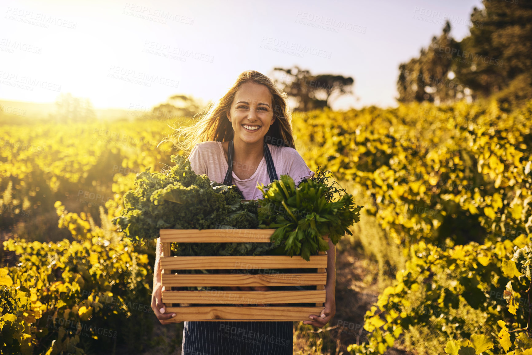 Buy stock photo Shot of a young woman holding a crate full of freshly picked produce on a farm