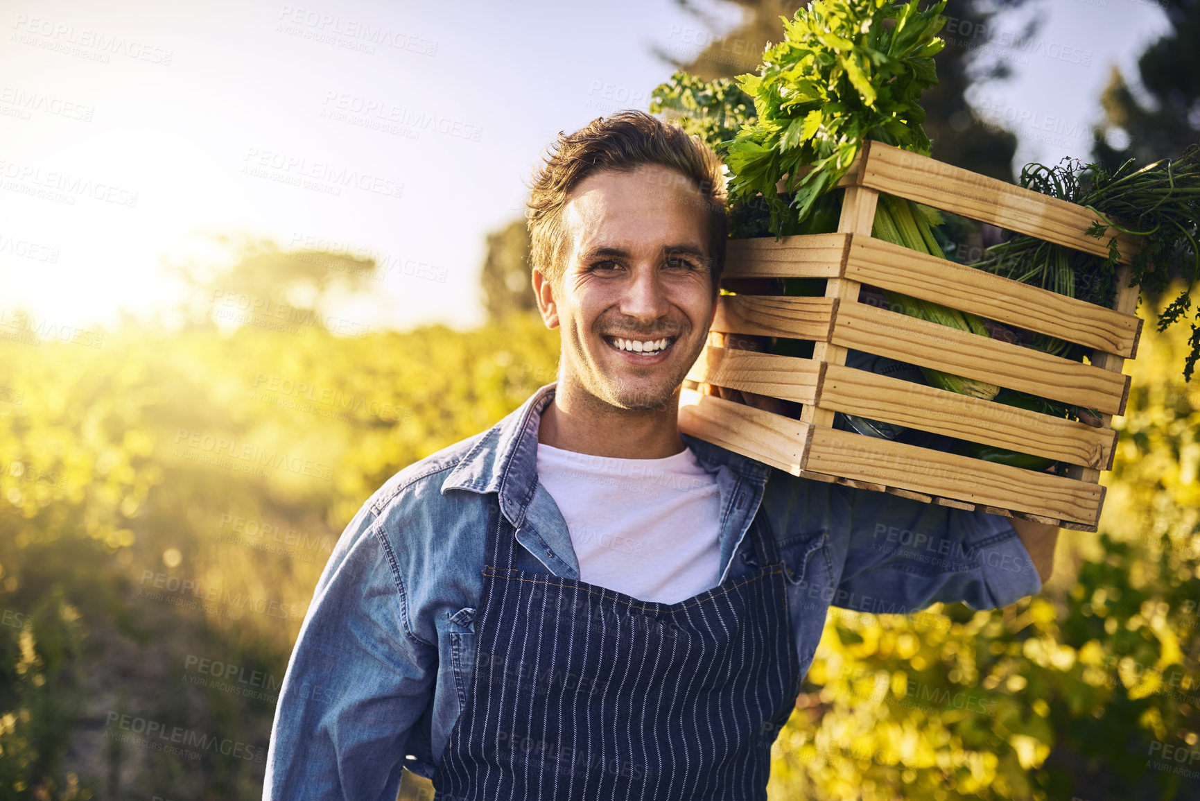 Buy stock photo Man, farm and crate with produce in portrait with harvest, success and happiness for agriculture. Male farmer, box and leaves for vegetables, growth and happy in countryside for sustainable business