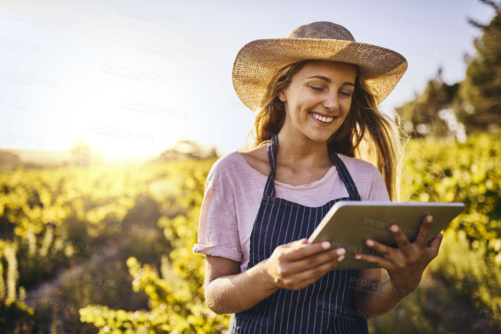 Buy stock photo Shot of a young woman using a digital tablet on a farm