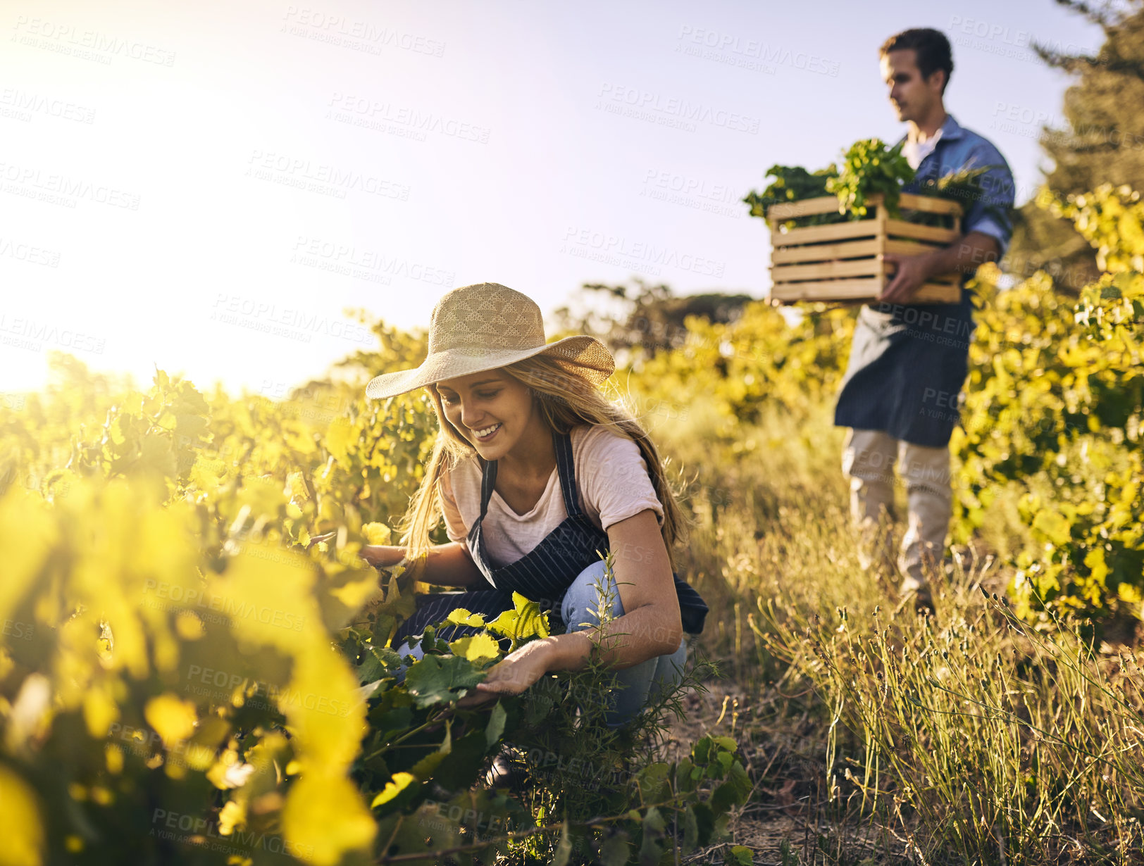 Buy stock photo Shot of a young man and woman working together on a farm