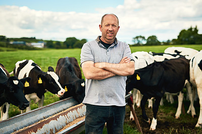 Buy stock photo Cow, farm or farmer portrait with arms crossed in nature for livestock, business or production supply chain startup. Agriculture, sustainability or man with animals in countryside for carbon capture