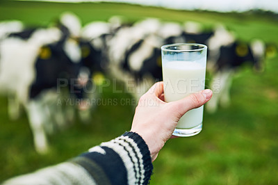 Buy stock photo Countryside, hand and person with glass of milk, fresh drink and nutrition for vitamin d of cows. Outdoor, business owner and farmer on farm with cattle, livestock and animals for dairy production