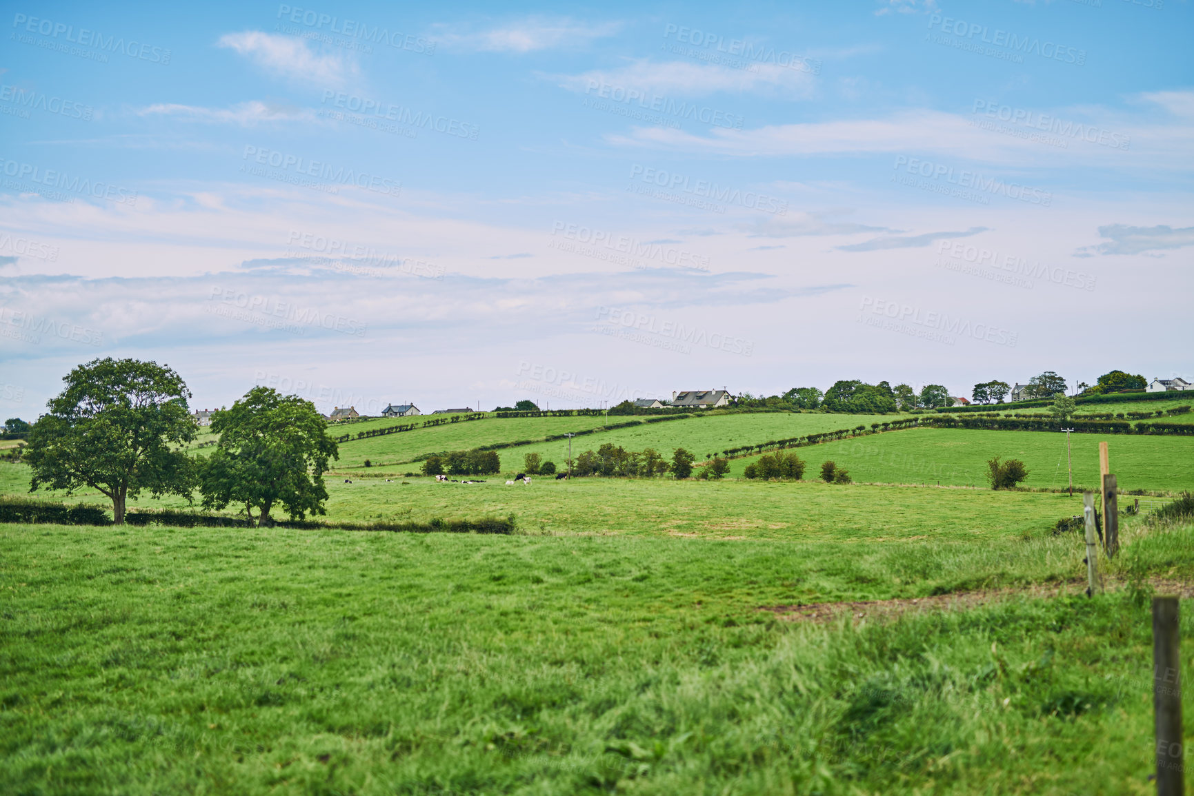 Buy stock photo Agriculture, countryside and landscape of farm with blue sky for growth, development or sustainability. Background, field and wallpaper with field of green grass outdoor in nature for net zero waste