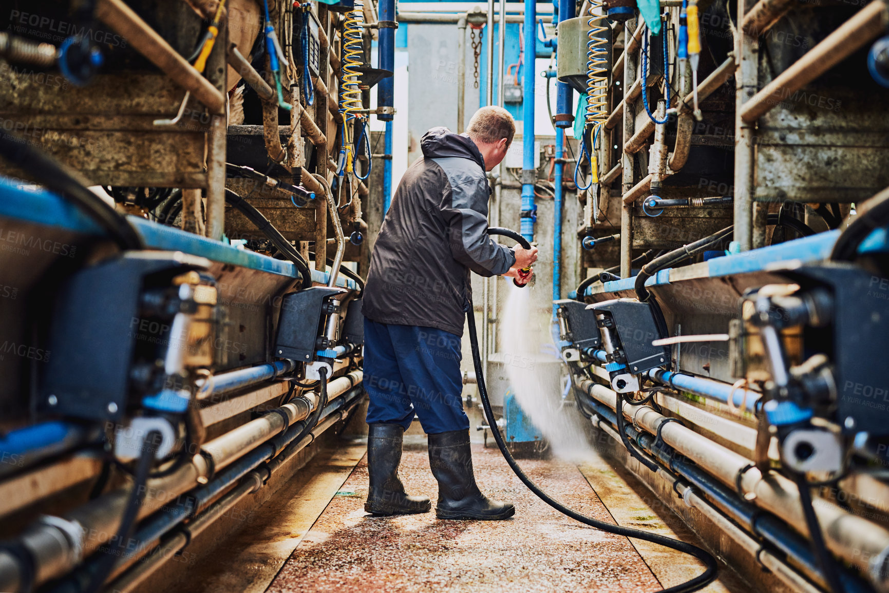 Buy stock photo Man, machine or farmer cleaning in factory hosing off a dirty or messy floor after dairy milk production. Cleaner, farming industry or worker working with water hose for healthy warehouse machinery