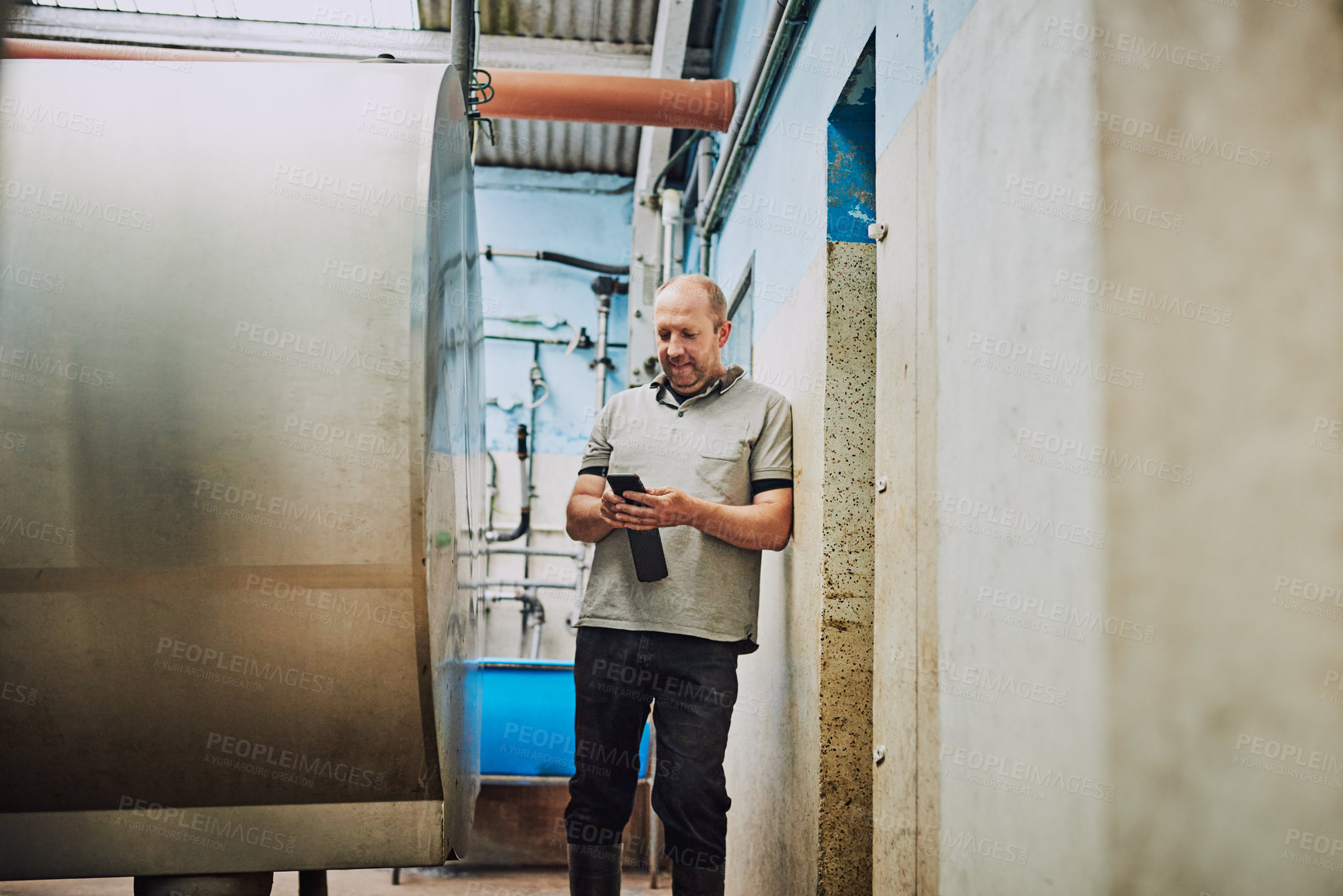 Buy stock photo Farming, machine and man in warehouse for milk production, livestock produce and dairy industry. Agriculture, farmer and person with pump, pipe and tank for storage, sustainable business and factory