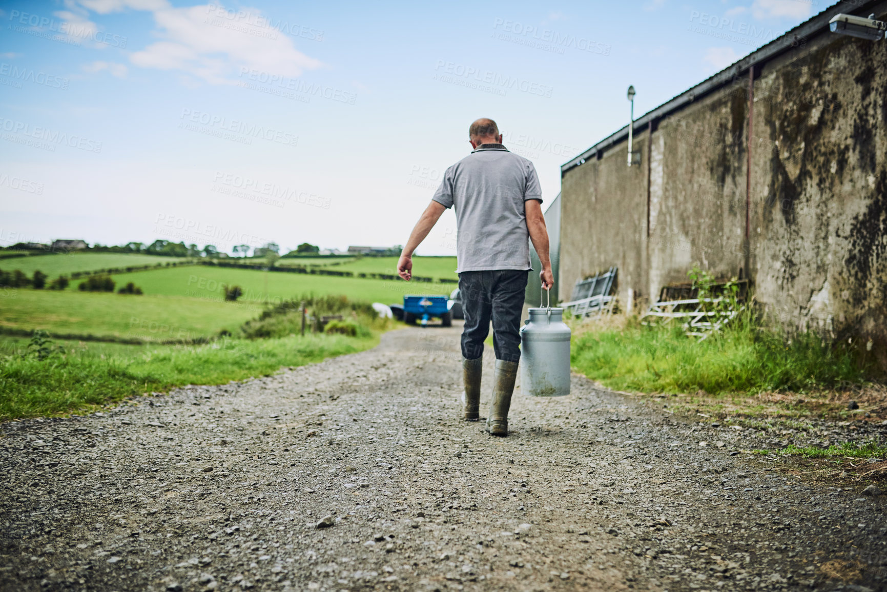 Buy stock photo Farming, walking and man with bucket for milk production, livestock produce and dairy industry. Agriculture, countryside and person with storage and tank for cattle, sustainable business or factory