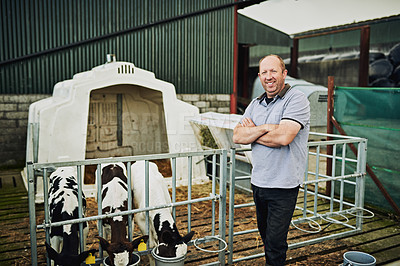 Buy stock photo Confidence, cows and portrait of man at farm with bucket feeding, animal health and milk production. Growth, development and dairy farmer in barn with cattle, arms crossed and small business in Texas