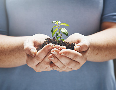 Buy stock photo Cropped shot of a person holding a plant growing in soil