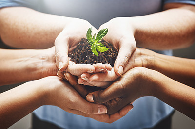 Buy stock photo Plant, hands and group of people volunteering, agriculture and agriculture growth or collaboration, help and teamwork. Palm, sapling soil and diversity woman, man or community  in sustainable farming