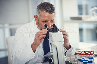 Buy stock photo Shot of a mature scientist using a microscope in a laboratory