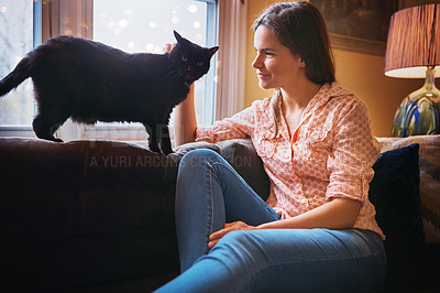 Buy stock photo Woman, trust and stroke cat in home for love, scratch and domestic animal for companion or loyalty. Female person, pet care and peace in living room or friendly rescue for adoption, sofa and support