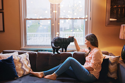 Buy stock photo Woman, cat and petting for support in home, scratch and domestic animal or companion for love on sofa. Female person, relax and calm in living room to stroke pet, bonding and connection for loyalty