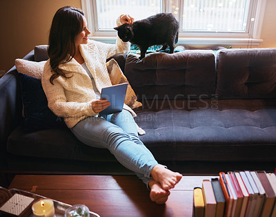 Buy stock photo Shot of an attractive young woman using a digital tablet on the sofa and affectionately stroking her cat