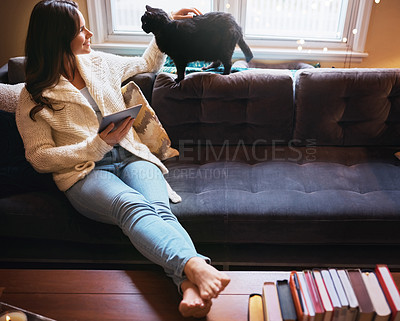 Buy stock photo Shot of an attractive young woman using a digital tablet on the sofa and affectionately stroking her cat