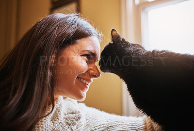 Buy stock photo Woman, cat and bonding for comfort in home, scratch and support animal or companion for love on sofa. Female person, relax and calm in living room to stroke pet, trust and connection for loyalty