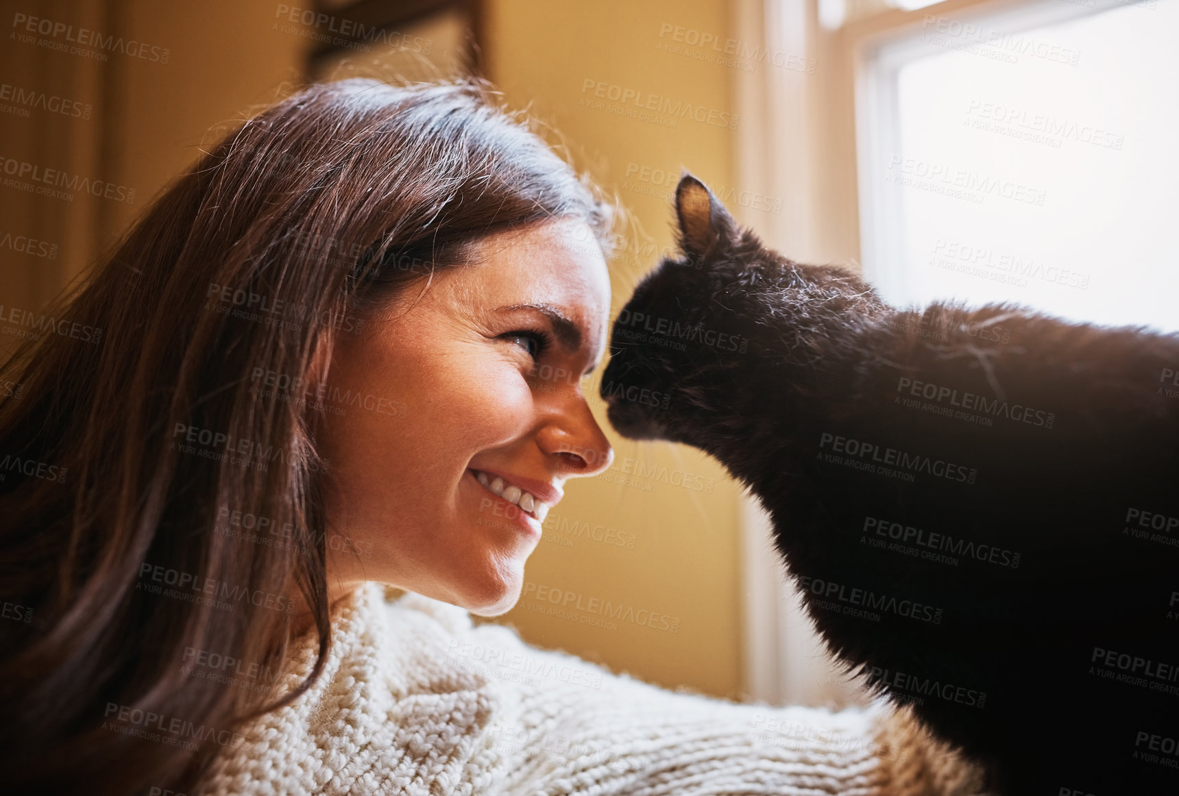 Buy stock photo Woman, cat and bonding for comfort in home, scratch and support animal or companion for love on sofa. Female person, relax and calm in living room to stroke pet, trust and connection for loyalty